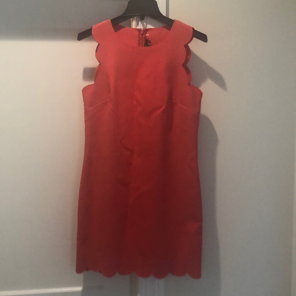 J Crew sheath dress, laser cut, scallop hem 4